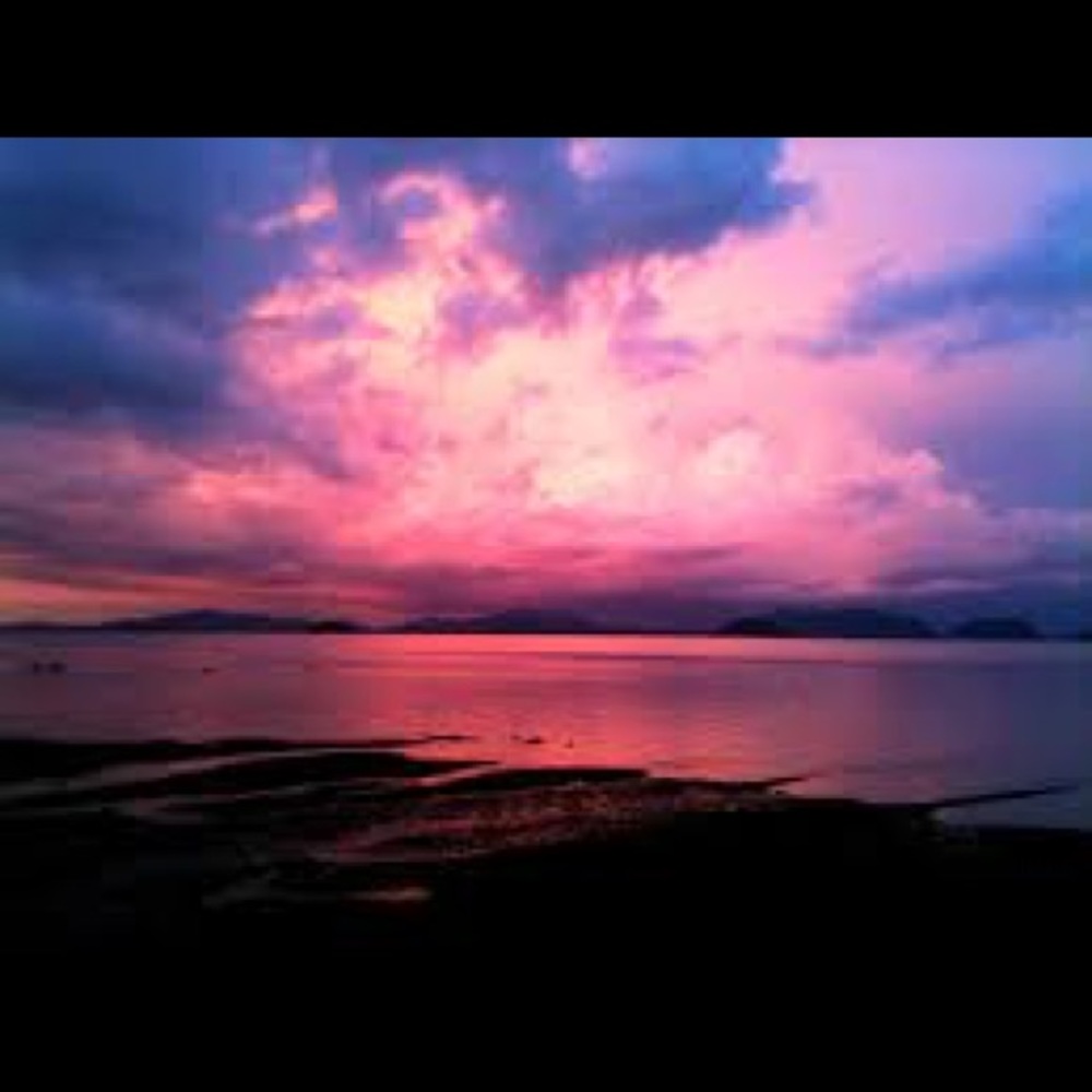 Meet your Posher, Mackenzie